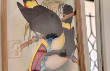 Verdeacqua my villa in the pinewood - Foto 40