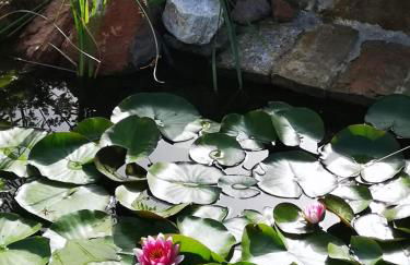 River Melody - Foto 33