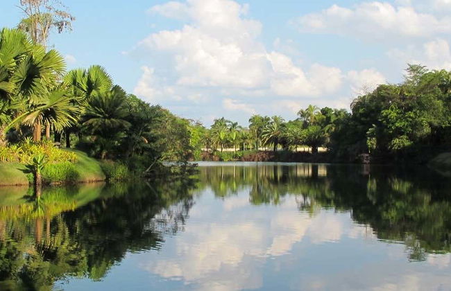 Excursión al Instituto Inhotim - Foto 7