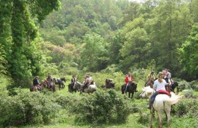 38-Volpini House In Amiata - Val d'Orcia, Saturnia, Feste&Sagre - Foto 71