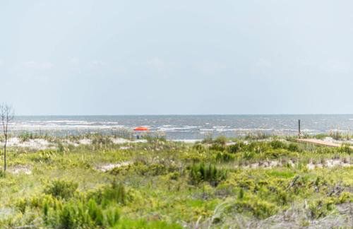 Patterson's Paradise - Foto 29