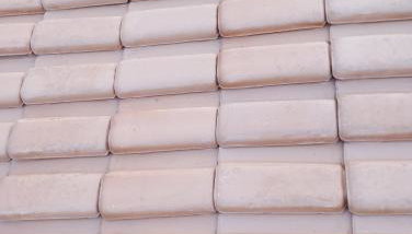 Jardim eden - Foto 2