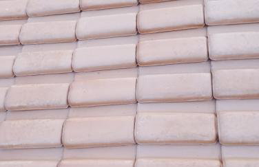 Jardim eden - Foto 2