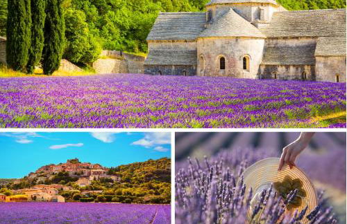 Le Laurier - Piscine, Sauna et Vue - Charme Provençal Authenticité - Bastide La Parette - Foto 39
