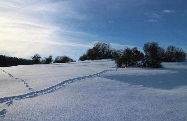 Apartment in Thale by Fishing River - Foto 36