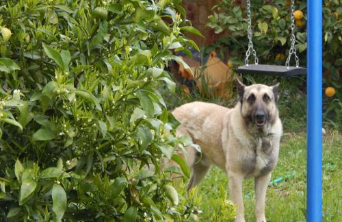 O Xenonas Ton Mylon - Photo 44