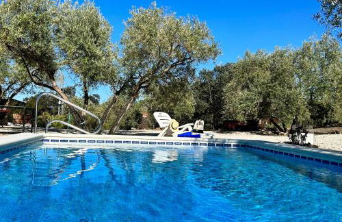 Casa de Campo La Mejorana Refugio entre olivos sin renunciar al confort - Foto 2