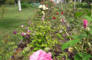 Logis de LANGE studio 2 p - Foto 42