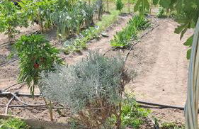 a casa di nonna Tarsilla-entire apartment,5 guests - Foto 31