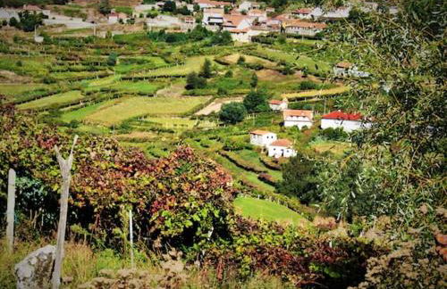 Charming Country House in Riba de Mouro, Fireplace - Foto 15