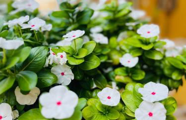 Domus Lucia - Foto 31