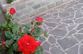 Casa Vacanze Mimose - Foto 24