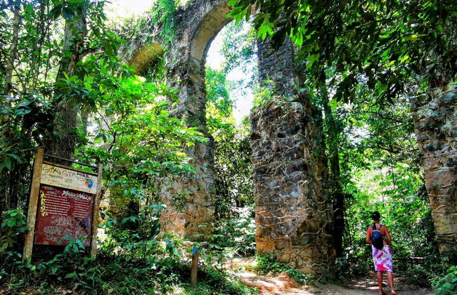 Tour por Abraão, la playa Preta y el Acueducto de Ilha Grande - Foto 5
