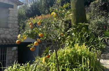 Sea View Villa in the French Riviera - Foto 33