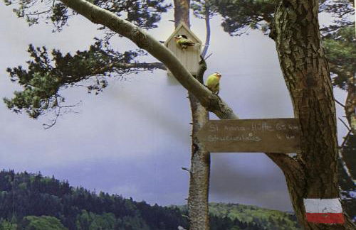 Gästehaus Zweite Heimat - Foto 10