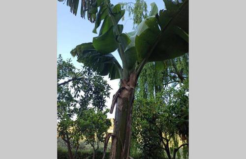 Villa MALENA Nature and Sea View - Foto 21