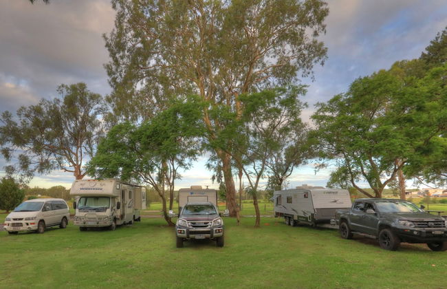 Glenwood Tourist Park & Motel - Photo 57