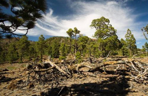 Villa Cleo, vistas de ensueño - Foto 55