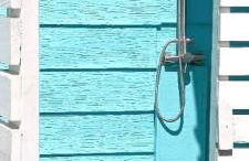 Hotty Toddy - Foto 47