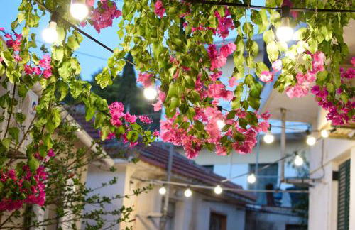 Daniela Village House - Photo 22