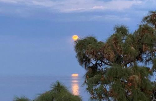 Il Nido di Marta - Photo 36