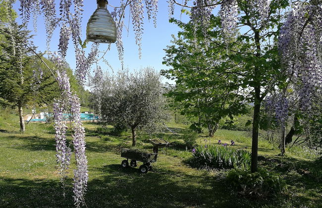 Agriturismo Casa Greppo - Il Noce - Foto 52