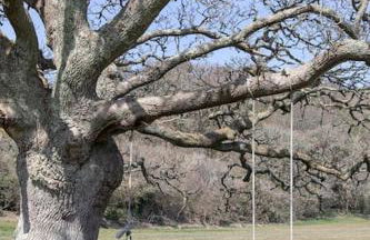 Cosy Couples Getaway - The Nook, set in 6 acres of private grounds - Foto 8