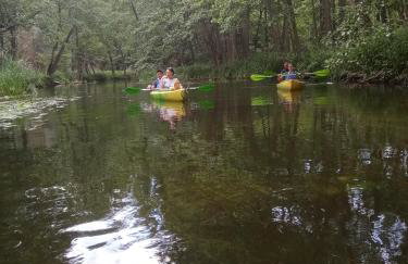Gospodarstwo agroturystyczne - Foto 37