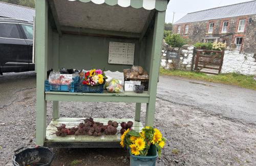 46 Gower Holiday Village with Swimming pool - Foto 29