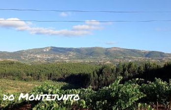 Murta's Home - Foto 41