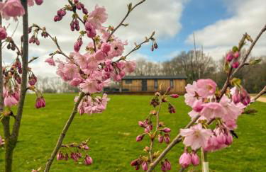 Shropshire Lodges - Romantic Luxury Hot Tub Breaks - Foto 52