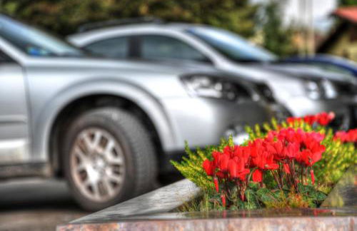 Residence Des Alpes - Foto 24