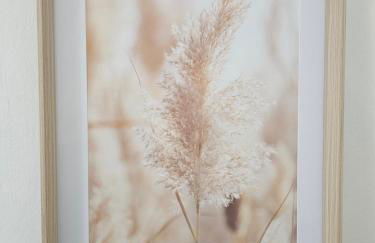 Luna Serena - Foto 28