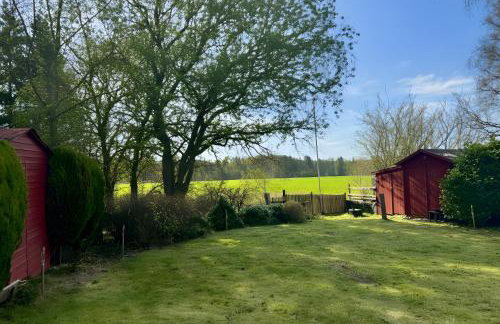 Ferienhaus Haffsonne - Foto 19