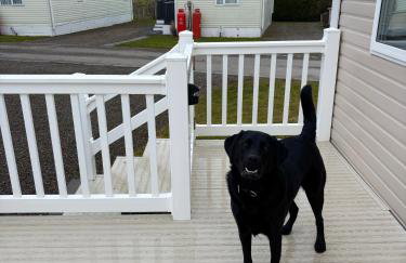 No 30 Dornoch Firth Caravan - Foto 7