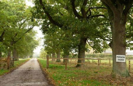 The Dairy - Photo 22