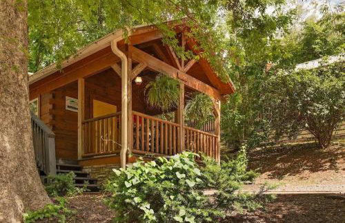 Ani Cabin Tiny Home Bordered By National Forest - Foto 2