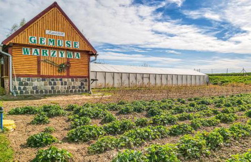 Lovely Home In Gubin With Sauna - Foto 17