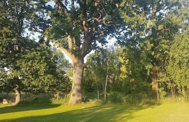 Ferienhaus am Rande des Müritz-Nationalparks - Foto 16