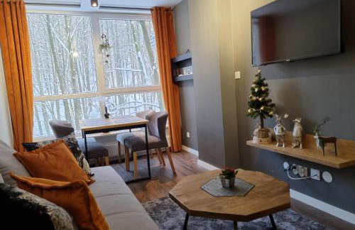 Apartament SPA 10 Resort Kozubnik blisko Szczyrk - 5D Apartments - Foto 14