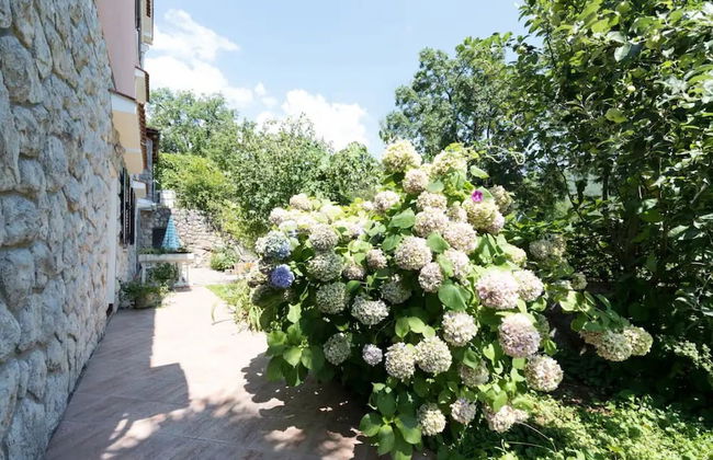 Green Garden Oasis - Photo 24