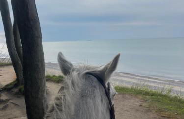 Ferienhaus nähe Warnemünde - Foto 27