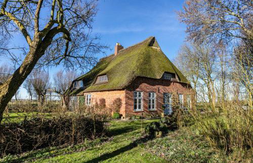 Reetdachhof Familie Dührsen - Photo 26