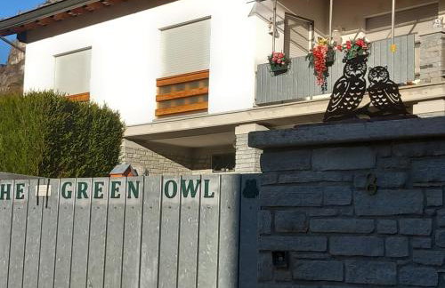 The Green Owl - Foto 10
