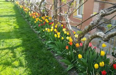 Casa vacanze Ester - Photo 51