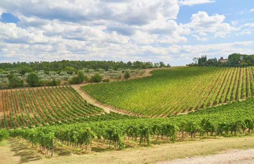 Fattoria la Loggia - Foto 8