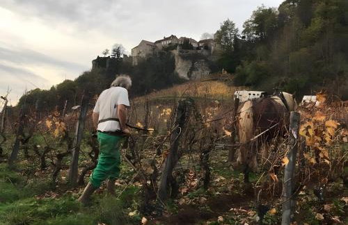 Gîte À La Ferme - Le Perchoir - Foto 17