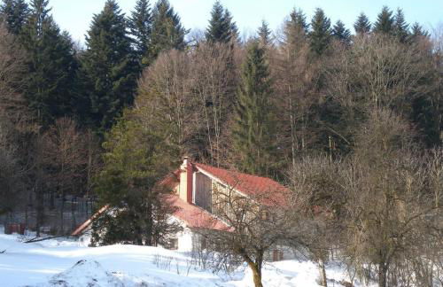 Grillnhäusl - Foto 6