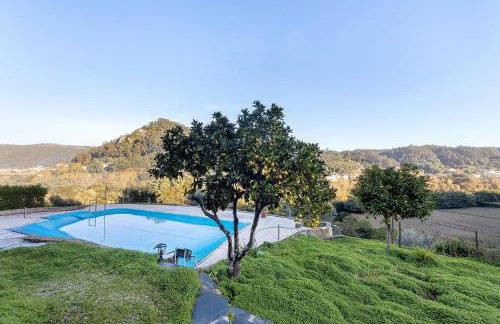 Sonho No Mondego - Photo 43