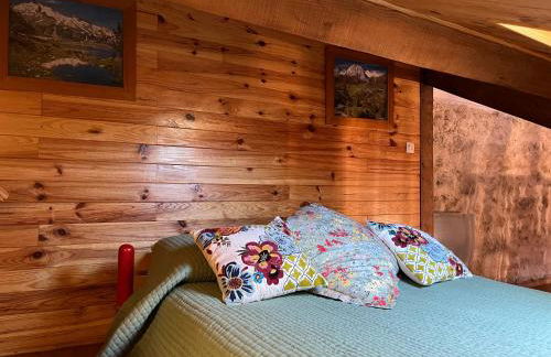 BASIA, Lourdes - centre , quartier historique Sanctuaires a 7 min a pied - Foto 26